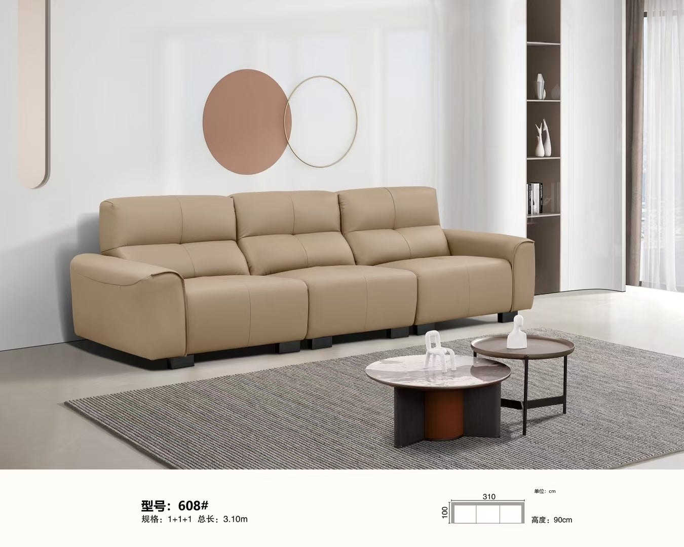 Modern Comfort Leather Sofa-608