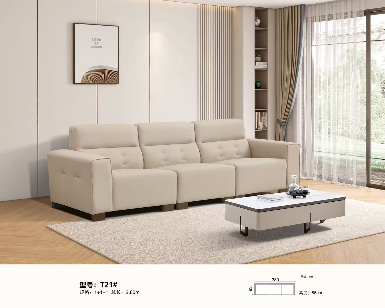Modern Style Living Room Sofa-T21