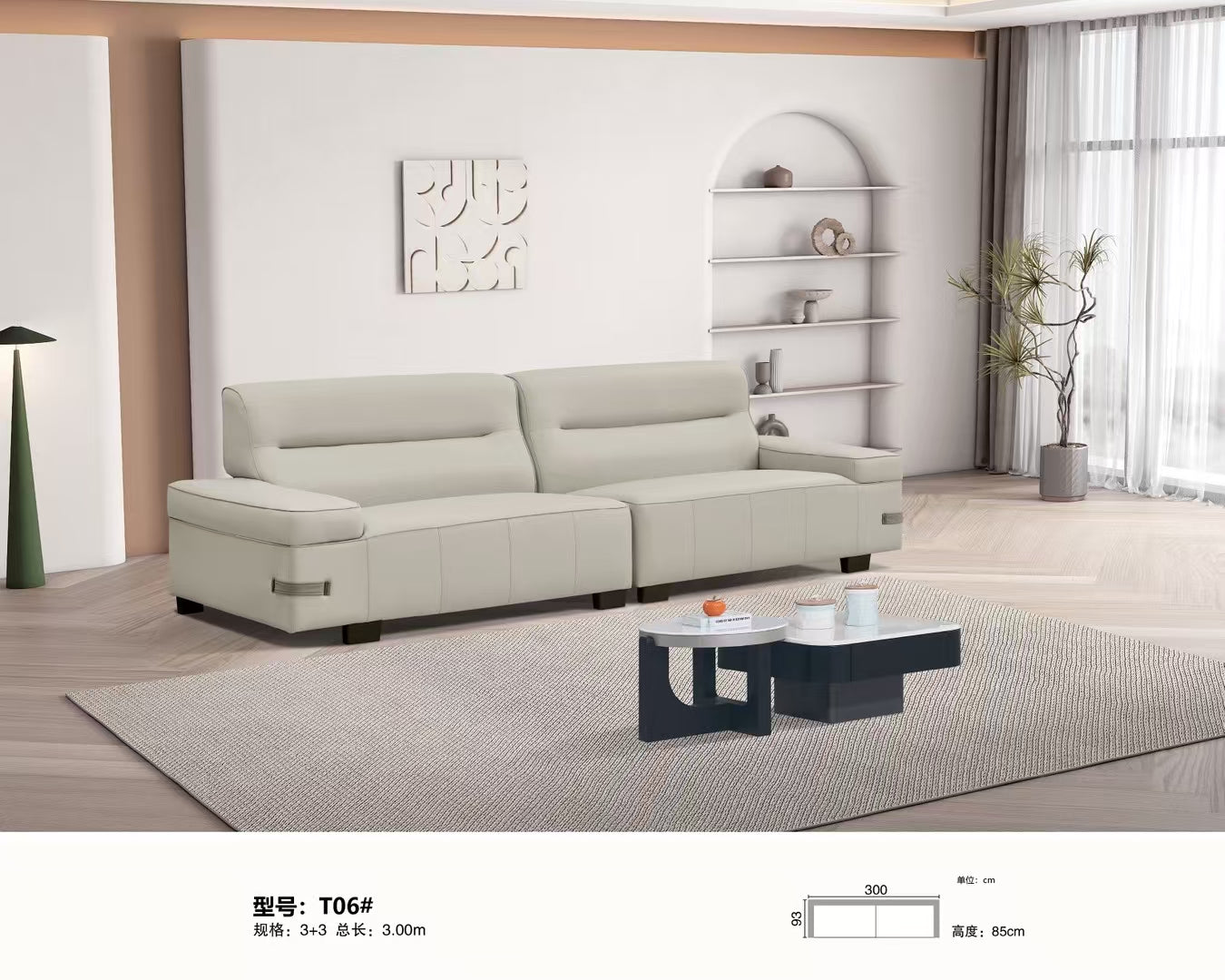 Modern Comfort Living Room Sofa-T06